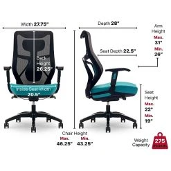 Beautyrest Duo-EX Ergonomic Mesh Swivel Computer Chair, Teal (60051-TEL) -Office Chairs Shop unnamed file 155