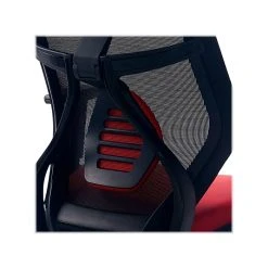 Beautyrest Duo-EX Ergonomic Mesh Swivel Computer Chair, Red (60051-RED) -Office Chairs Shop unnamed file 168