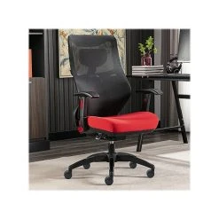 Beautyrest Duo-EX Ergonomic Mesh Swivel Computer Chair, Red (60051-RED) -Office Chairs Shop unnamed file 171