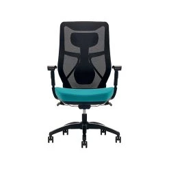 Beautyrest Duo-EX Ergonomic Mesh Swivel Computer Chair, Red (60051-RED) -Office Chairs Shop unnamed file 172