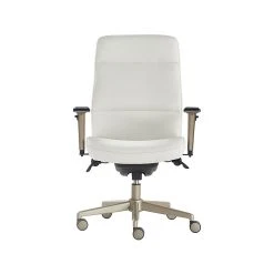 La-Z-Boy Baylor Ergonomic Faux Leather Swivel Executive Chair, White (CHR10085A)