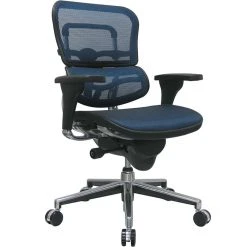 Raynor Eurotech Ergo Human Mesh Mid Back Task Chair, Blue