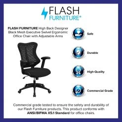 Flash Furniture Mesh Executive Chair, Black (BL-ZP-806-BK-GG) -Office Chairs Shop unnamed file 2274