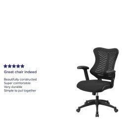 Flash Furniture Mesh Executive Chair, Black (BL-ZP-806-BK-GG) -Office Chairs Shop unnamed file 2275
