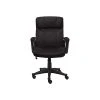 Serta Hannah I Fabric Executive Chair, Black (43670D) -Office Chairs Shop unnamed file 2297