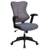 Flash Furniture Mesh/Fire-retardant Foam Executive Chair, Black/Designer Gray (BL-ZP-806-GY-GG) -Office Chairs Shop unnamed file 2465