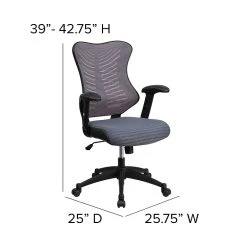 Flash Furniture Mesh/Fire-retardant Foam Executive Chair, Black/Designer Gray (BL-ZP-806-GY-GG) -Office Chairs Shop unnamed file 2470
