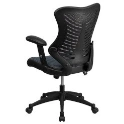 Flash Furniture Mesh/Fire-retardant Foam Executive Chair, Black/Designer Gray (BL-ZP-806-GY-GG) -Office Chairs Shop unnamed file 2471