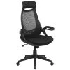 Flash Furniture High Back Mesh Executive Swivel Office Chair, Black With Flip-Up Arms (HL0018) -Office Chairs Shop unnamed file 2693
