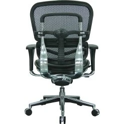 Raynor Eurotech Mesh/Leather Mid Back Ergo Human Chair, Black -Office Chairs Shop unnamed file 2744