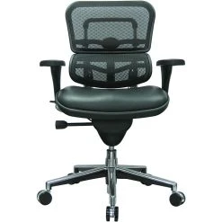 Raynor Eurotech Mesh/Leather Mid Back Ergo Human Chair, Black -Office Chairs Shop unnamed file 2745