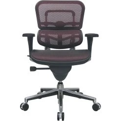 Raynor Eurotech Ergo Human Mesh Mid Back Task Chair, Plum Red -Office Chairs Shop unnamed file 3011