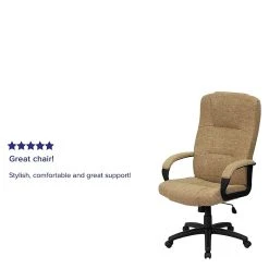 Flash Furniture High Back Fabric Executive Office Chairs (BT9022BGE) -Office Chairs Shop unnamed file 3160