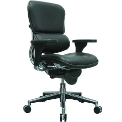 Raynor Eurotech Leather Mid Back Ergo Human Chair, Black