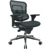 Raynor Eurotech Ergo Human Mesh Mid Back Task Chair, Green -Office Chairs Shop unnamed file 3182