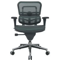 Raynor Eurotech Ergo Human Mesh Mid Back Task Chair, Green -Office Chairs Shop unnamed file 3185
