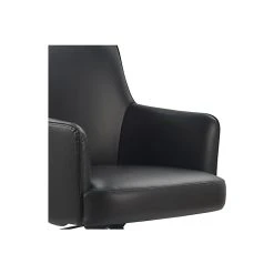 Finch Belmont Ergonomic Leather Swivel Executive Chair, Charcoal (CHR10061C) 13 Finch Belmont Ergonomic Leather Swivel Executive Chair, Charcoal (CHR10061C) -Office Chairs Shop unnamed file 3348