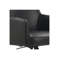 Finch Belmont Ergonomic Leather Swivel Executive Chair, Charcoal (CHR10061C) 15 Finch Belmont Ergonomic Leather Swivel Executive Chair, Charcoal (CHR10061C) -Office Chairs Shop unnamed file 3350