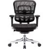 Raynor Marketing Raynor Eurotech Ergohuman Mid Back Executive Chair, Patterned Mesh, Black -Office Chairs Shop unnamed file 3783