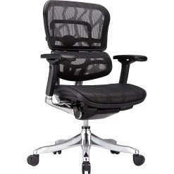 Raynor Marketing Raynor Eurotech Ergohuman Mid Back Executive Chair, Patterned Mesh, Black -Office Chairs Shop unnamed file 3784