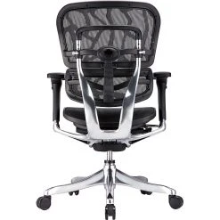 Raynor Marketing Raynor Eurotech Ergohuman Mid Back Executive Chair, Patterned Mesh, Black -Office Chairs Shop unnamed file 3786