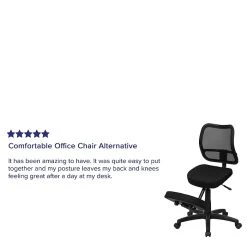 Flash Furniture Ergonomic Mesh Kneeling Task Chair, Armless, Black -Office Chairs Shop unnamed file 3898