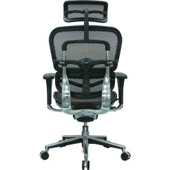 Raynor Eurotech Ergo Human High Back Managers Chair, With Headrest And Mesh, Orange -Office Chairs Shop unnamed file 4012