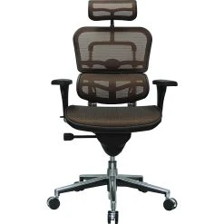 Raynor Eurotech Ergo Human High Back Managers Chair, With Headrest And Mesh, Orange -Office Chairs Shop unnamed file 4013