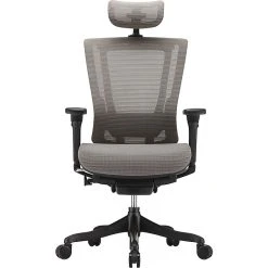 Raynor Marketing Raynor Nefil Elite Smart Motion Mesh Managers Chair With Headrest, 3D Gray -Office Chairs Shop unnamed file 4035
