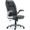 Staples Sorina Bonded Leather Chair, Grey (53253) -Office Chairs Shop unnamed file 41