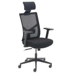 La-Z-Boy Mesh Back Molded Foam Task Chair, Black (60021)