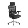 Raynor Marketing Ergo Elite Mesh Task Chair, Black (ME22ERGLT-BLK) -Office Chairs Shop unnamed file 4657