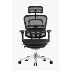 Raynor Marketing Ergo Elite Mesh Task Chair, Black (ME22ERGLT-BLK) -Office Chairs Shop unnamed file 4660