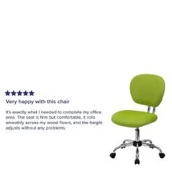 Flash Furniture Mid Back Mesh Task Chair, Apple Green (H2376FGN) -Office Chairs Shop unnamed file 4688