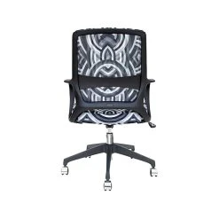 The Raynor Group Elizabeth Sutton Gramercy Fabric Swivel Task Chair, Black Grayscale Echo Silver (K-ESGR-BLK-ECHO-SIL) -Office Chairs Shop unnamed file 4887