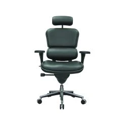 Eurotech Leather Task Chair, Black (LE9ERG(N))