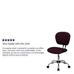 Flash Furniture Mesh Task Chairs With Chrome Base (H2376FBY) -Office Chairs Shop unnamed file 5348