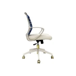 The Raynor Group Elizabeth Sutton Gramercy Fabric Swivel Task Chair, Blue Prism White Gold (K-ESGR-WHT-PRSM-GLD) -Office Chairs Shop unnamed file 5581