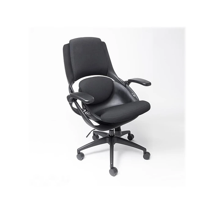 ALL33 BackStrong C1 Ergonomic Fabric Swivel Task Chair, Black (BS-BBF-50509) 4 ALL33 BackStrong C1 Ergonomic Fabric Swivel Task Chair, Black (BS-BBF-50509) - Image 2
