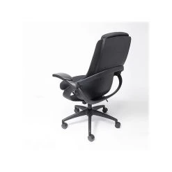 ALL33 BackStrong C1 Ergonomic Fabric Swivel Task Chair, Black (BS-BBF-50509) 9 ALL33 BackStrong C1 Ergonomic Fabric Swivel Task Chair, Black (BS-BBF-50509) -Office Chairs Shop unnamed file 5975