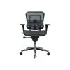 Raynor Low Back Mesh Task Chair, Black (ME8ERGLO(N)) -Office Chairs Shop unnamed file 6084