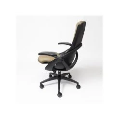 ALL33 BackStrong C1 Ergonomic Vegan Leather Swivel Task Chair, Tan/Black (BS-BTE-50506) -Office Chairs Shop unnamed file 6102