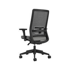 Global Factor Mesh Back Fabric Task Chair, Gray/Black (55408BKFU77) -Office Chairs Shop unnamed file 6189